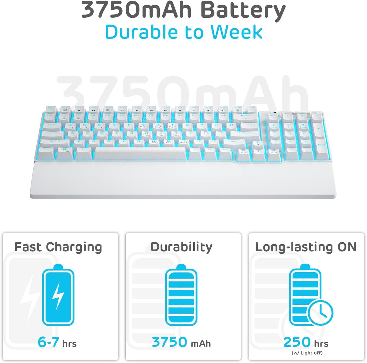 RK ROYAL KLUDGE RK96 Wireless Mechanical Keyboard with Magnetic Wrist Rest