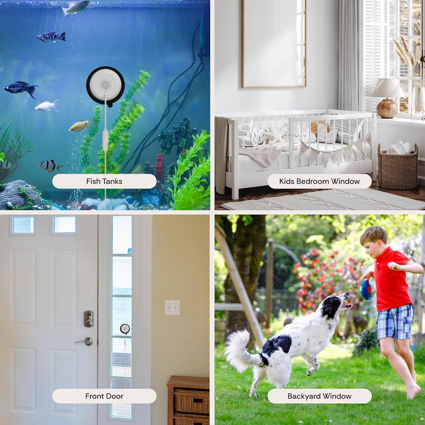 Luna Window Camera, 2K Dual-Band WiFi6 Wired Indoor Security Camera | Smart AI Motion Detection, Color Night Vision, Stick-On Angled Glass Mount, Easy Installation Camera for Home Security