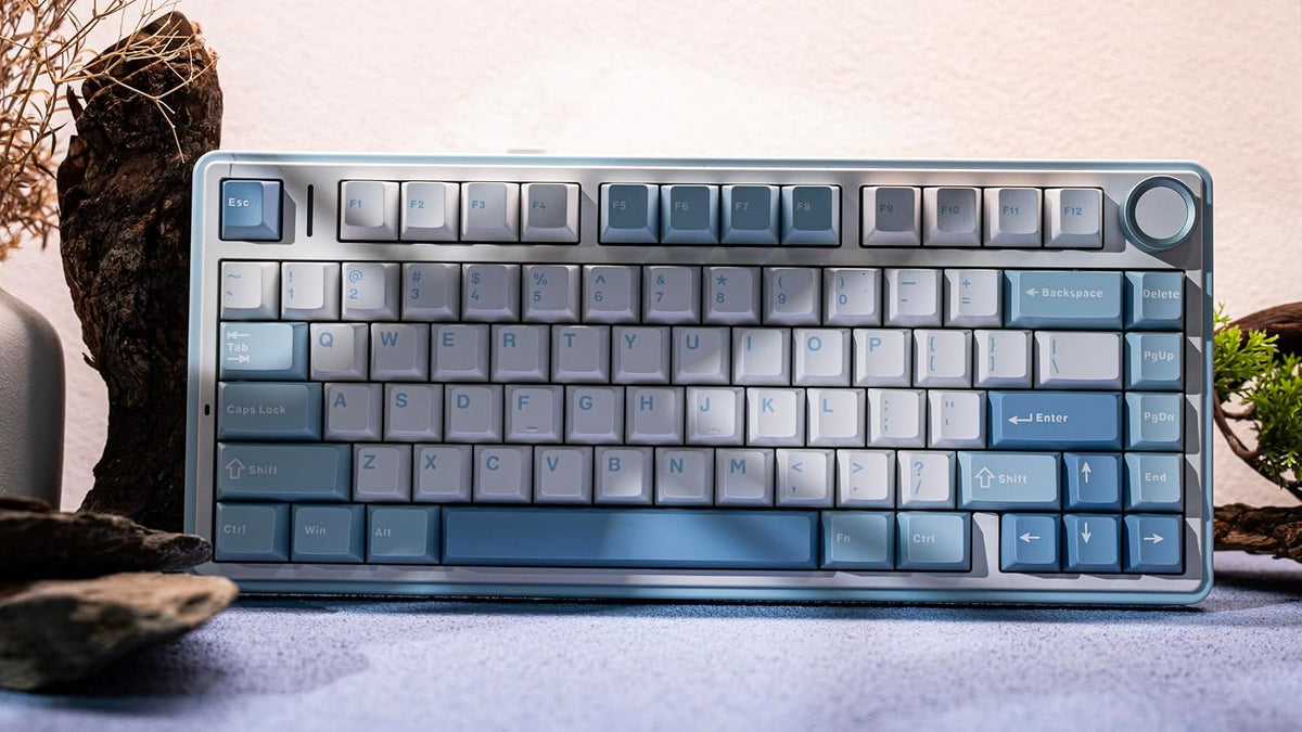 EPOMAKER x Aula F75 Gasket Mechanical Keyboard, 75% Wireless Hot Swappable Gaming Keyboard with Five-Layer Padding&Knob, BT/2.4GHz/USB-C, RGB (Sea Salt Blue, LEOBOG Reaper Switch)