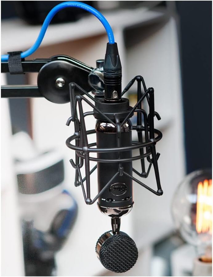 Blue Blackout Spark SL XLR Condenser Microphone for Pro Recording, Streaming, Podcasting, Gaming, with Large Diaphragm Cardioid Mic Capsule, Shockmount, Detailed Natural Sound, Protective Case - Black