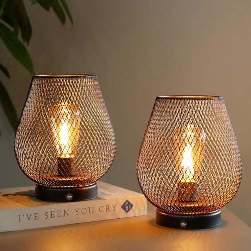 JHY DESIGN Dimmable Touch Bedside Table Lamp Set of 2 Rechargeable Battery Powered Lamp with LED Bulb Cordless Accent Lamp for Weddings Parties Patio Events Indoors Outdoors(Metal Base, Bronze Egg)