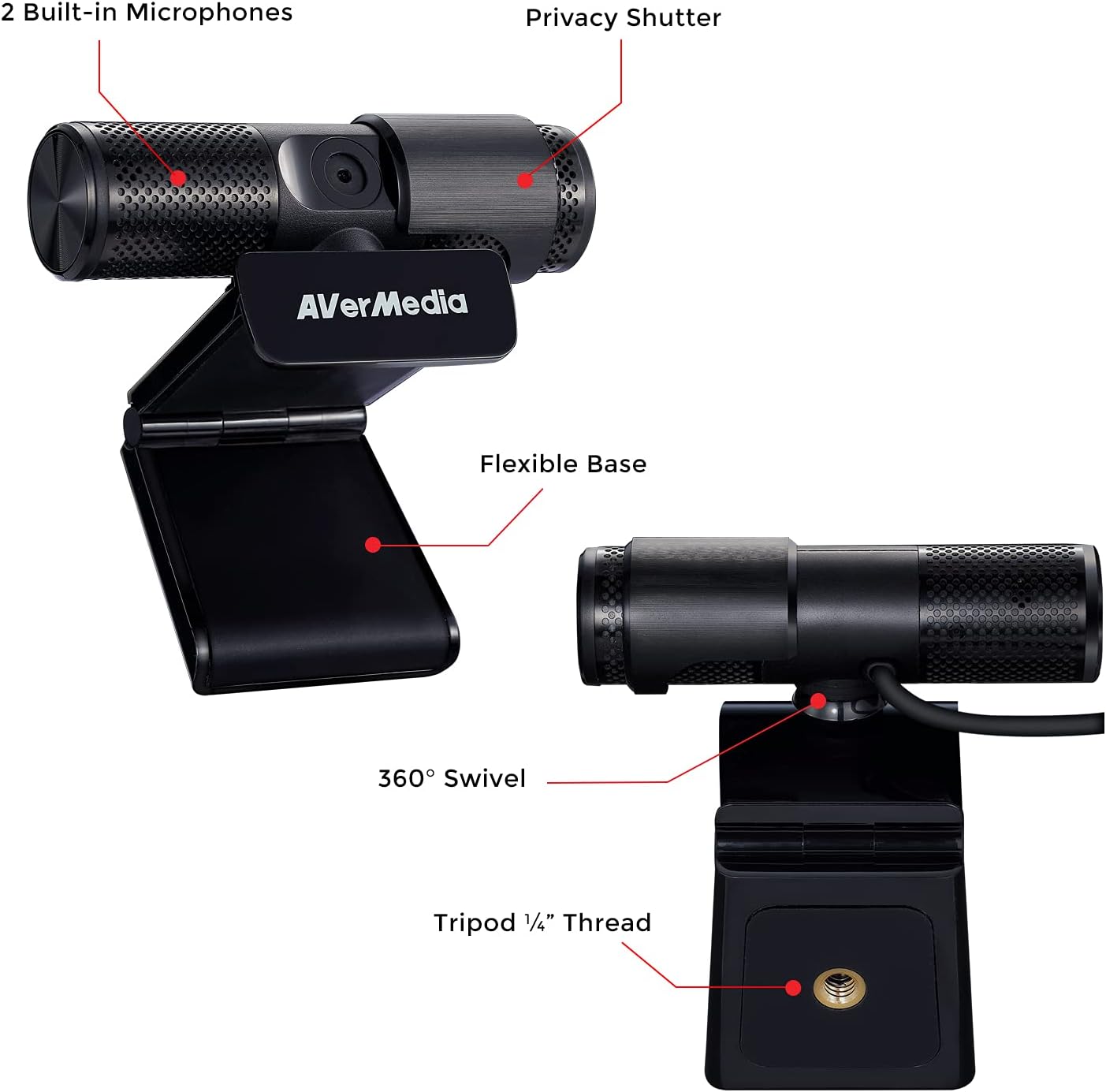 AVerMedia Live Streamer Cam 313 - Full HD 1080P Webcam with Privacy Shutter, Dual Microphone, 360 Degree Swivel for Video Conference - NDAA Compliant (PW313)