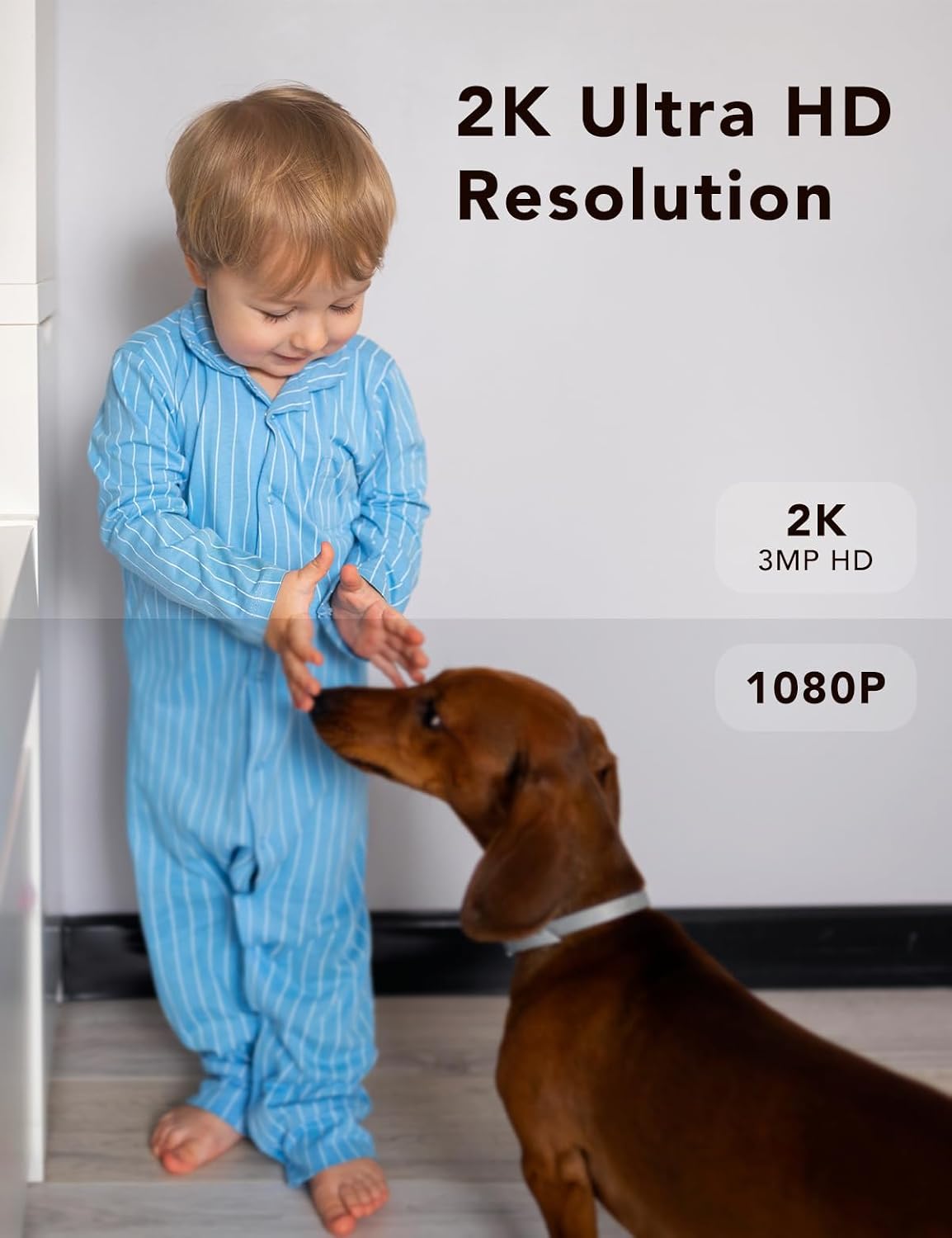 2K Wired Security Camera, Indoor/Outdoor for Home, Pet, Baby, Nanny, IP65 Waterproof Color Night Vision, White Light & Siren, Recording, Motion Detection, Works with Alexa,Pulg in, Black-4P