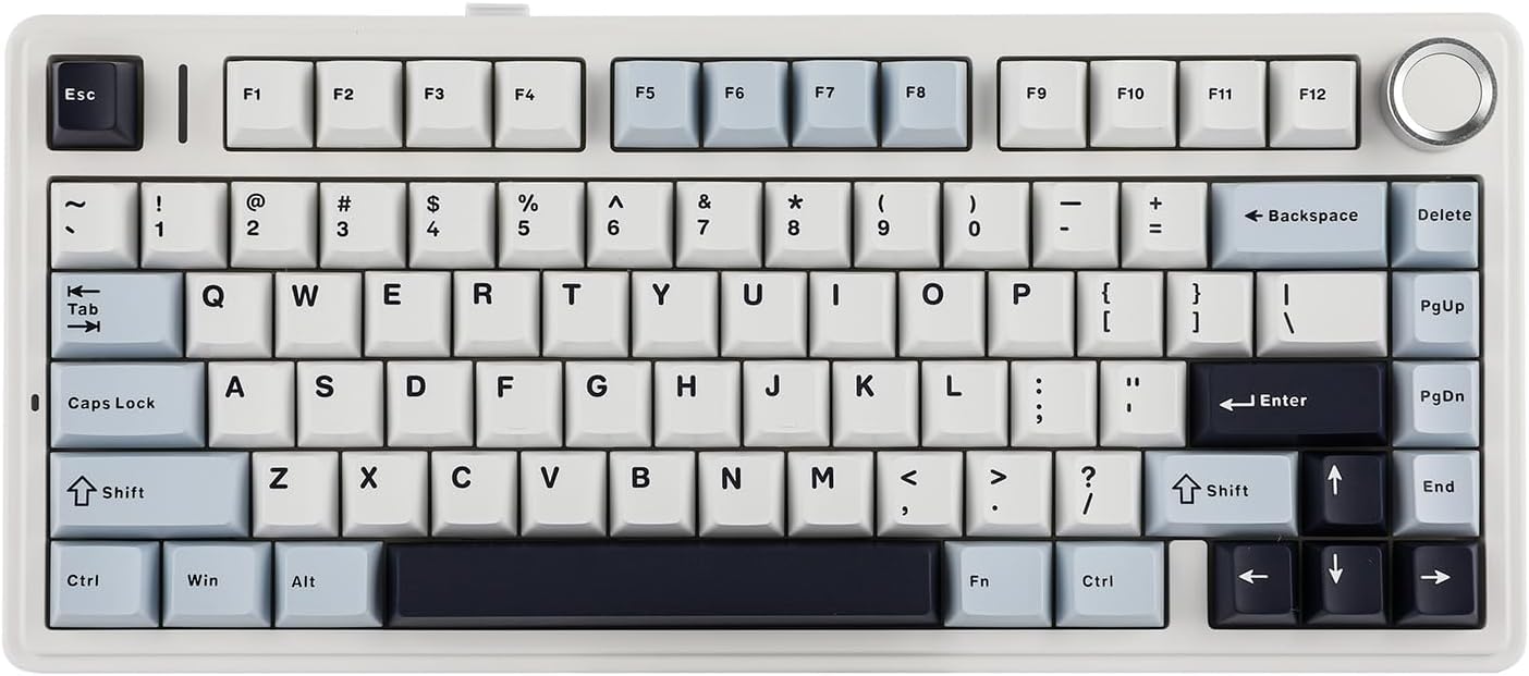 EPOMAKER x Aula F75 Gasket Mechanical Keyboard, 75% Wireless Hot Swappable Gaming Keyboard with Five-Layer Padding&Knob, BT/2.4GHz/USB-C, RGB (Light Blue, LEOBOG Reaper Switch)