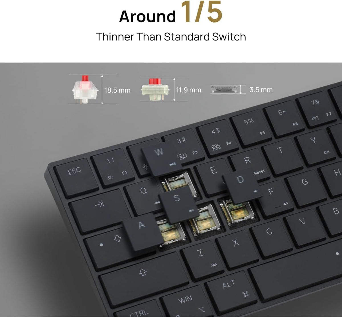 BAROCCOMiSTEL MiSTEL AIRONE BT Ultralight/Ultraslim Mechanical Keyboard, 65% Layout, Cherry MX ULP Switch, RGB Backlit, USB-C Cable, Windows/MacOS/iOS, Macro Support, Portabl, Black- Click (Click)