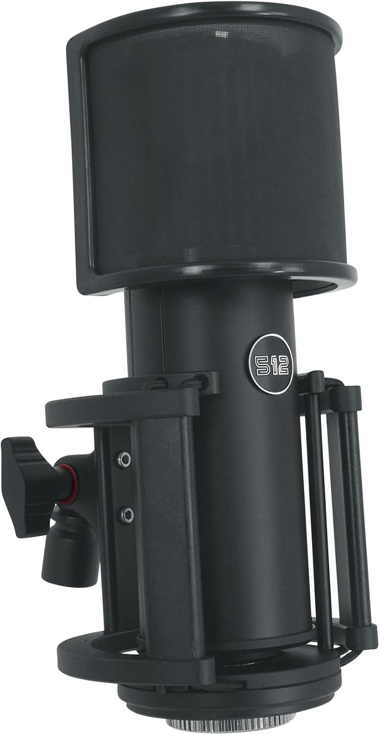 512 Audio by Warm Audio Skylight Large Diaphragm Studio Condenser XLR Microphone + Shock Mount + Bag for Recording and Podcasting