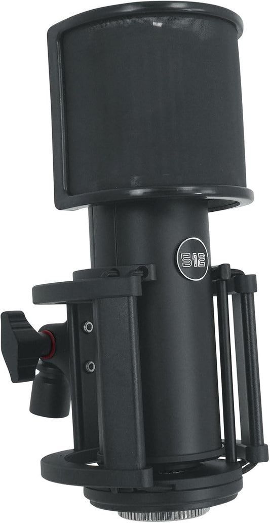 512 Audio by Warm Audio Skylight Large Diaphragm Studio Condenser XLR Microphone + Shock Mount + Bag for Recording and Podcasting