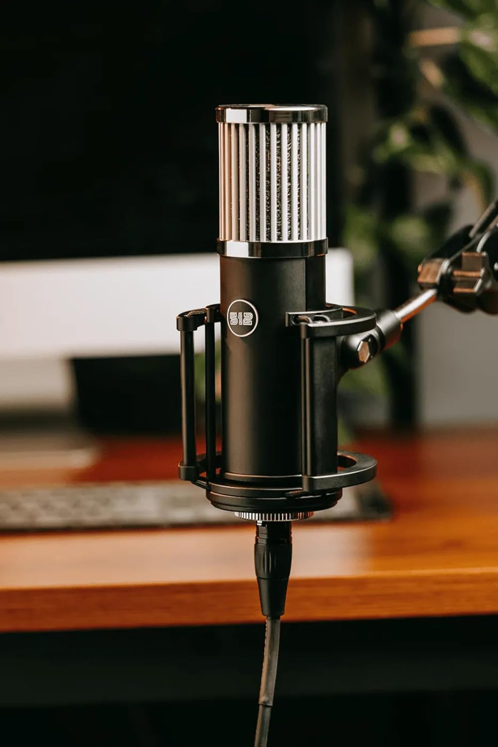 512 Audio by Warm Audio Skylight Large Diaphragm Studio Condenser XLR Microphone + Shock Mount + Bag for Recording and Podcasting