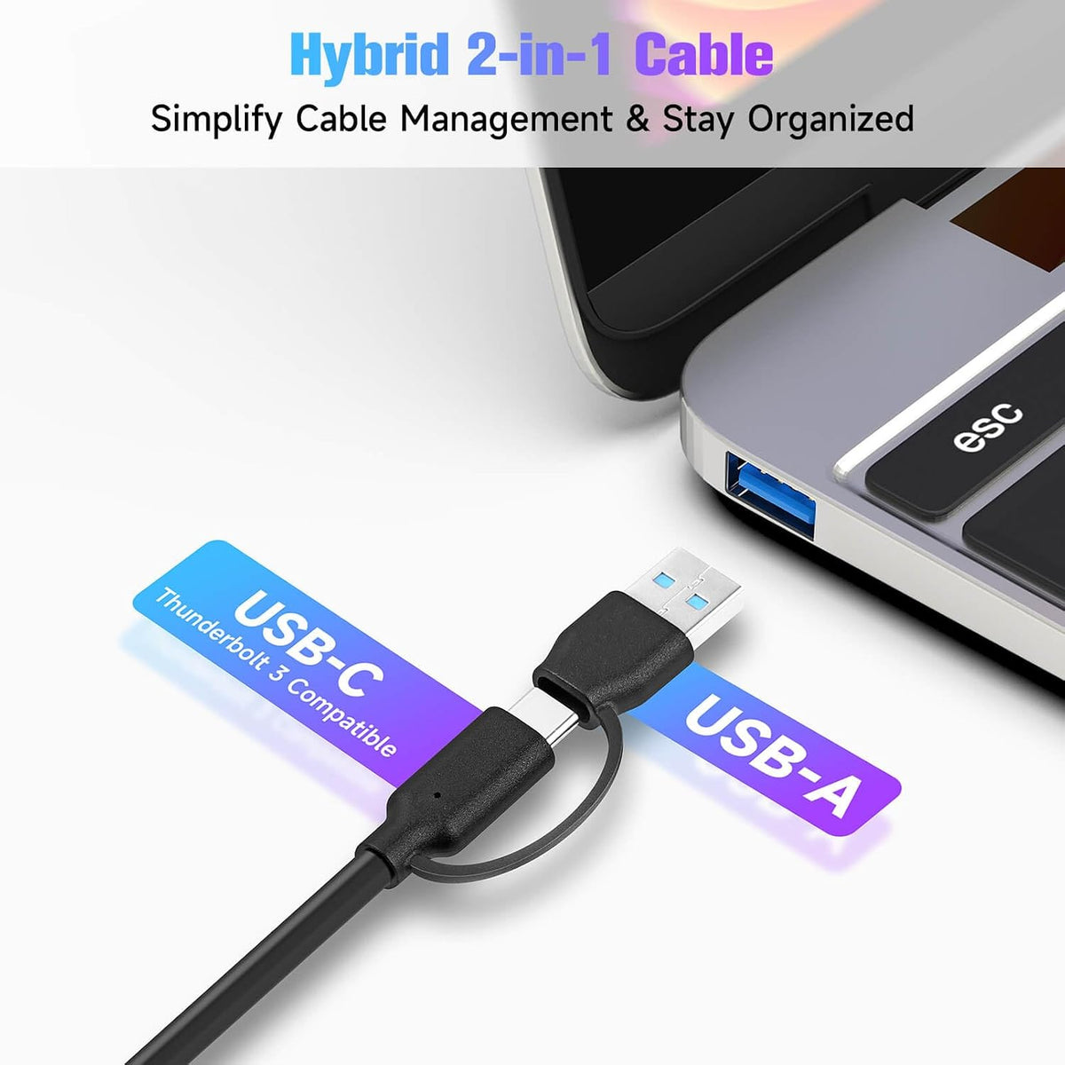 RSHTECH 10-Port Powered USB 3.2/USB C Data Hub Splitter 60W, RSH-ST10C-6