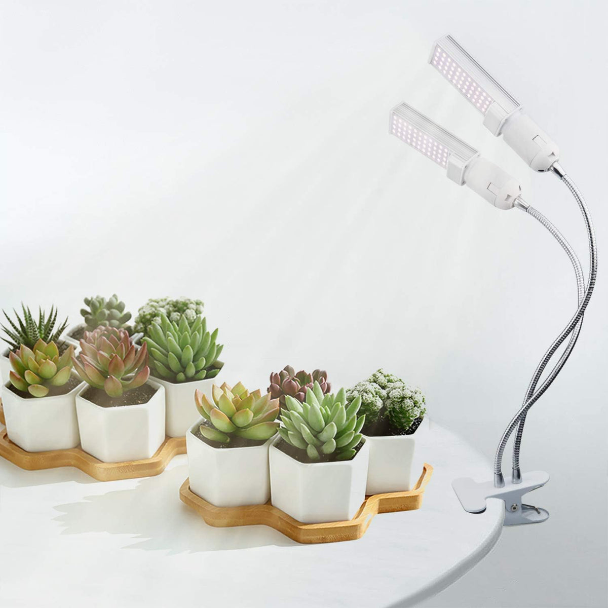 Smart LED Grow Light Bulbs for Gooseneck Clamp Light - Dimmable, Sun Mode Dimming, Auto On/Off Timer, Remote Control - Full Spectrum for Indoor Plant Growth - Mimics Real Sunshine
