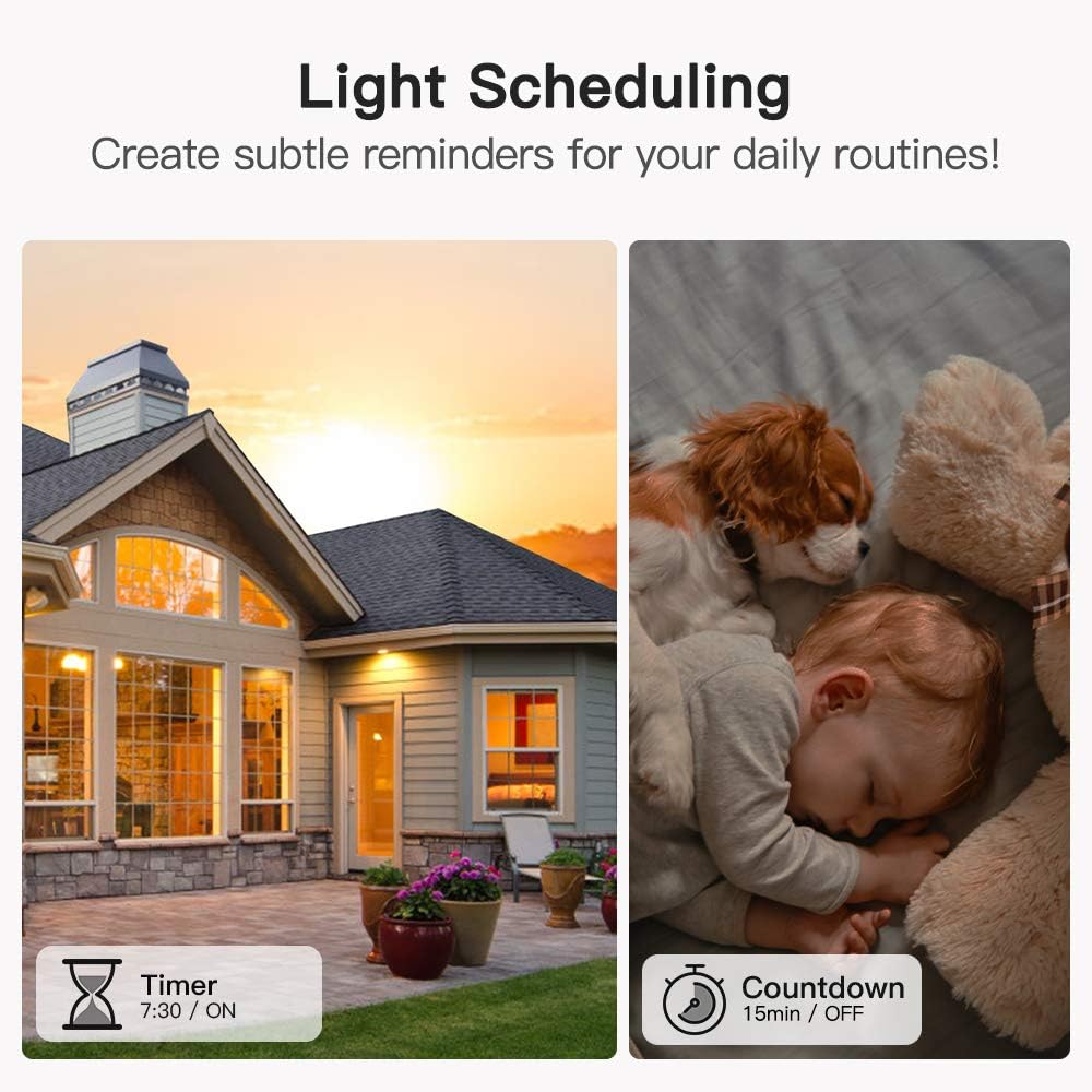 TREATLIFE Single Pole Smart Light Switch, Neutral Wire Required, 2.4GHz Wi-Fi Light Switch, Works with Alexa and Google Home, Schedule, Remote Control