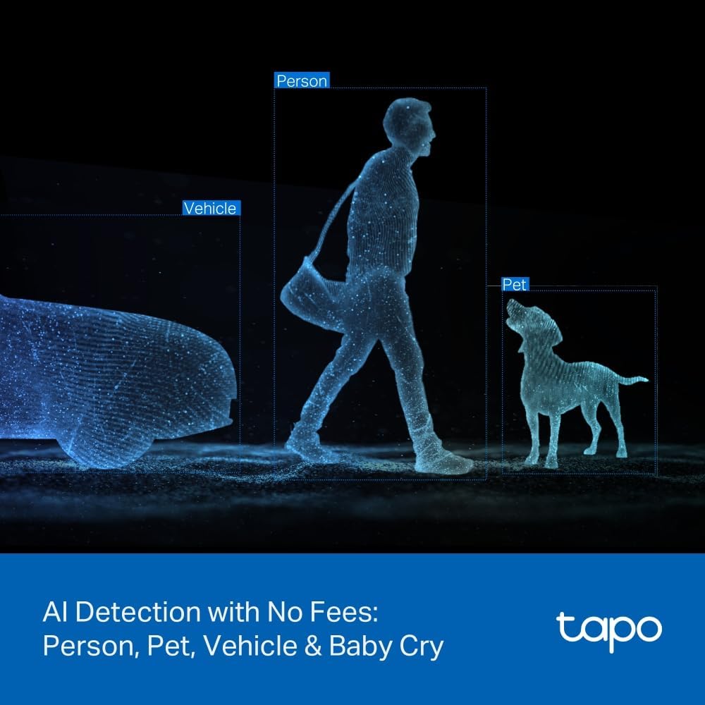 Tapo 2K Indoor/Outdoor Dual Lens Pan/Tilt Wired Security Camera, C246D