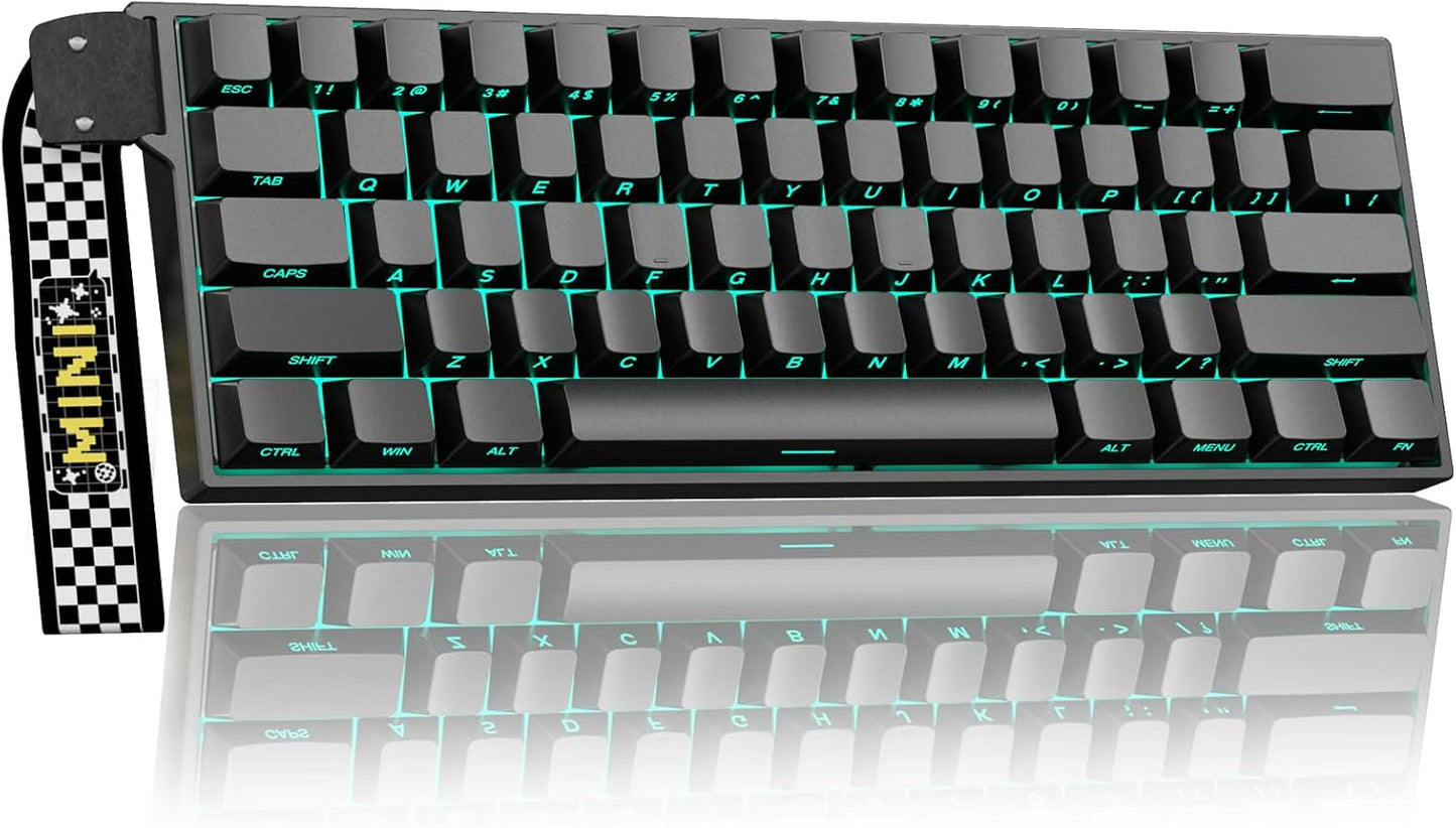 Aula MINI60 HE PRO Wireless Gaming Keyboard 60%,Hall Effect Rapid Trigger Magnetic Keyboard,8000Hz Polling,Tri-Mode(BT5.0/2.4GHz/USB-C),RGB Hot Swappable Compact Mechanical Keyboard for Gamer(Black)