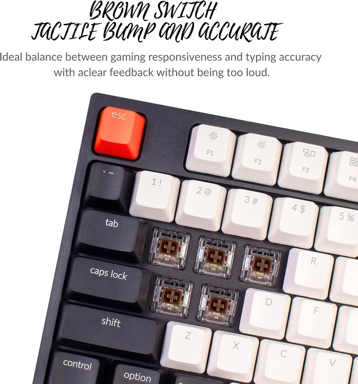 Keychron C1 TKL Mechanical Gaming Keyboard – Tactile Brown Switches, RGB Backlit Compact Wired Keyboard for Mac & Windows, White