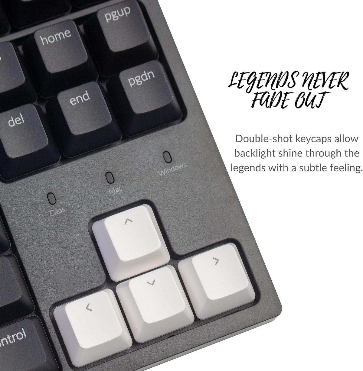 Keychron C1 TKL Mechanical Gaming Keyboard – Tactile Brown Switches, RGB Backlit Compact Wired Keyboard for Mac & Windows, White