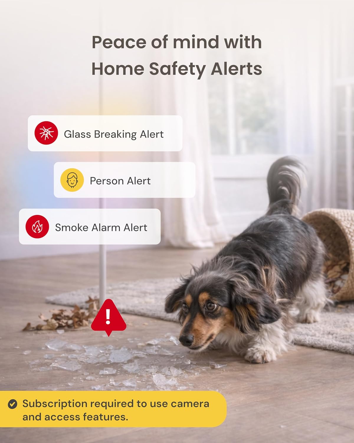 Furbo 360° Dog Camera [Paid Plan Required to Activate] | Stay connected with AI Dog & Home Safety Alerts, Treat Toss, Auto-Tracking, Video History, 2-Way Audio (Subscription 3mo min)