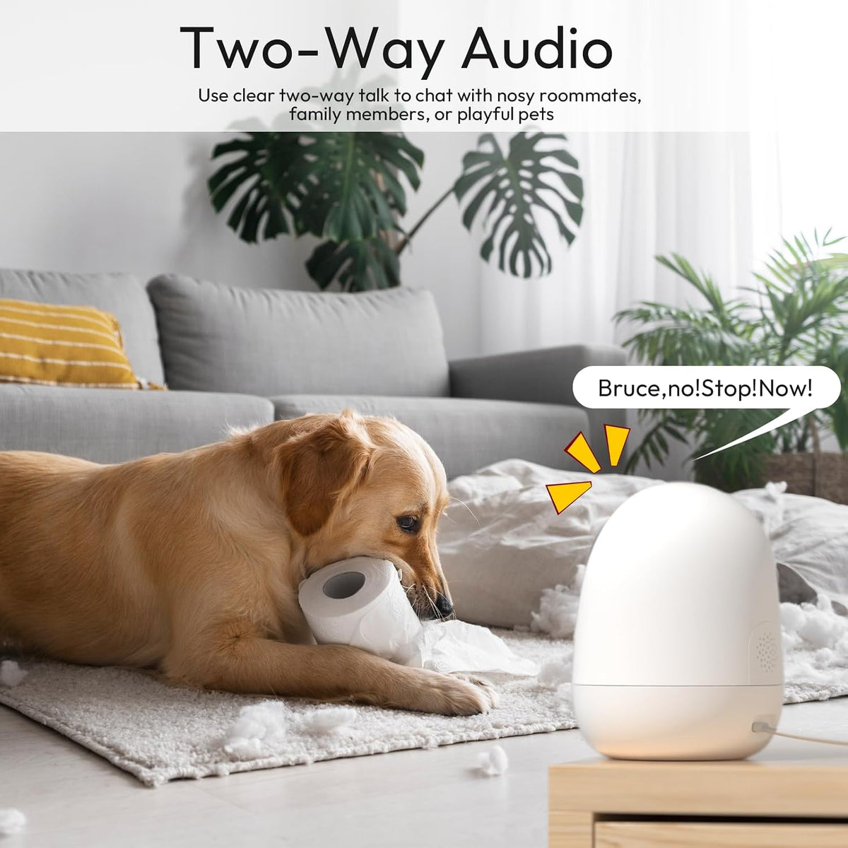 Rraycom 2.5K Indoor Security Camera, 5G/2.4G WiFi, Pet & Baby Monitor