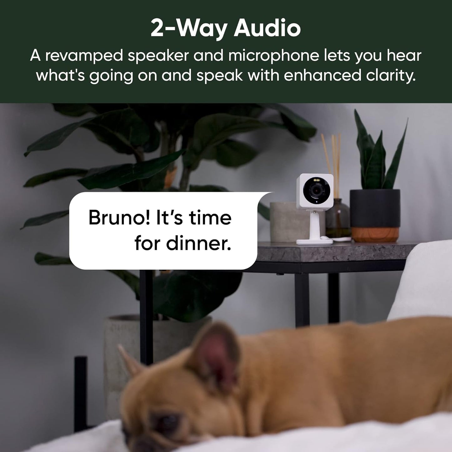 WYZE Cam OG Indoor/Outdoor 1080p Wi-Fi Smart Home Security Camera with Color Night Vision, Motion Detection, 2-Way Audio, Compatible with Alexa & Google, White (2-Pack), Free Expert Setup (Renewed)