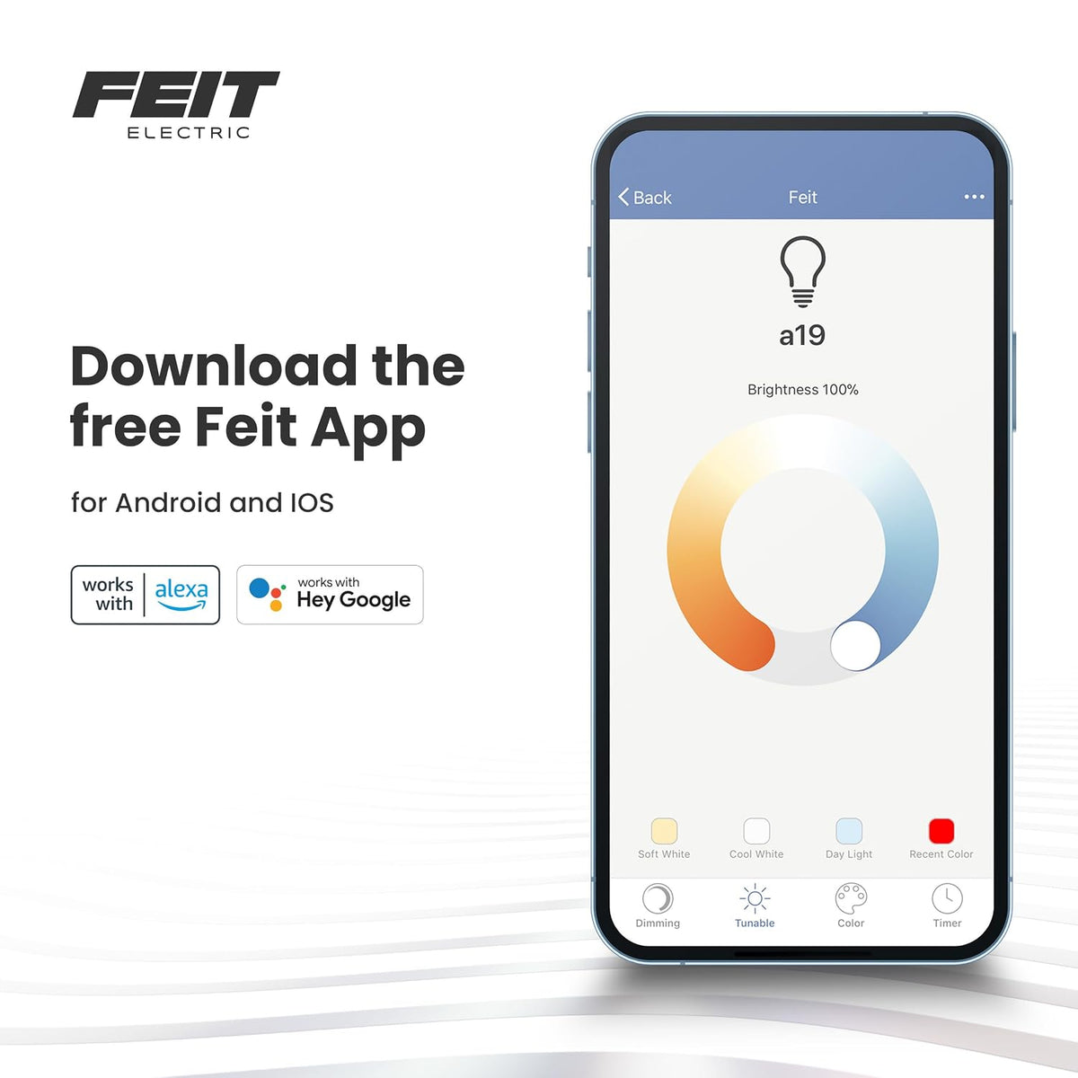 Feit Electric Smart Wi-Fi Plug, Compatible with Alexa and Google Home