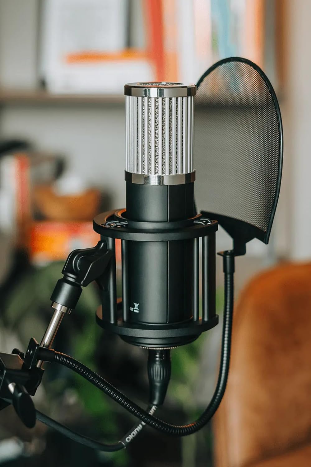 512 Audio by Warm Audio Skylight Large Diaphragm Studio Condenser XLR Microphone + Shock Mount + Bag for Recording and Podcasting
