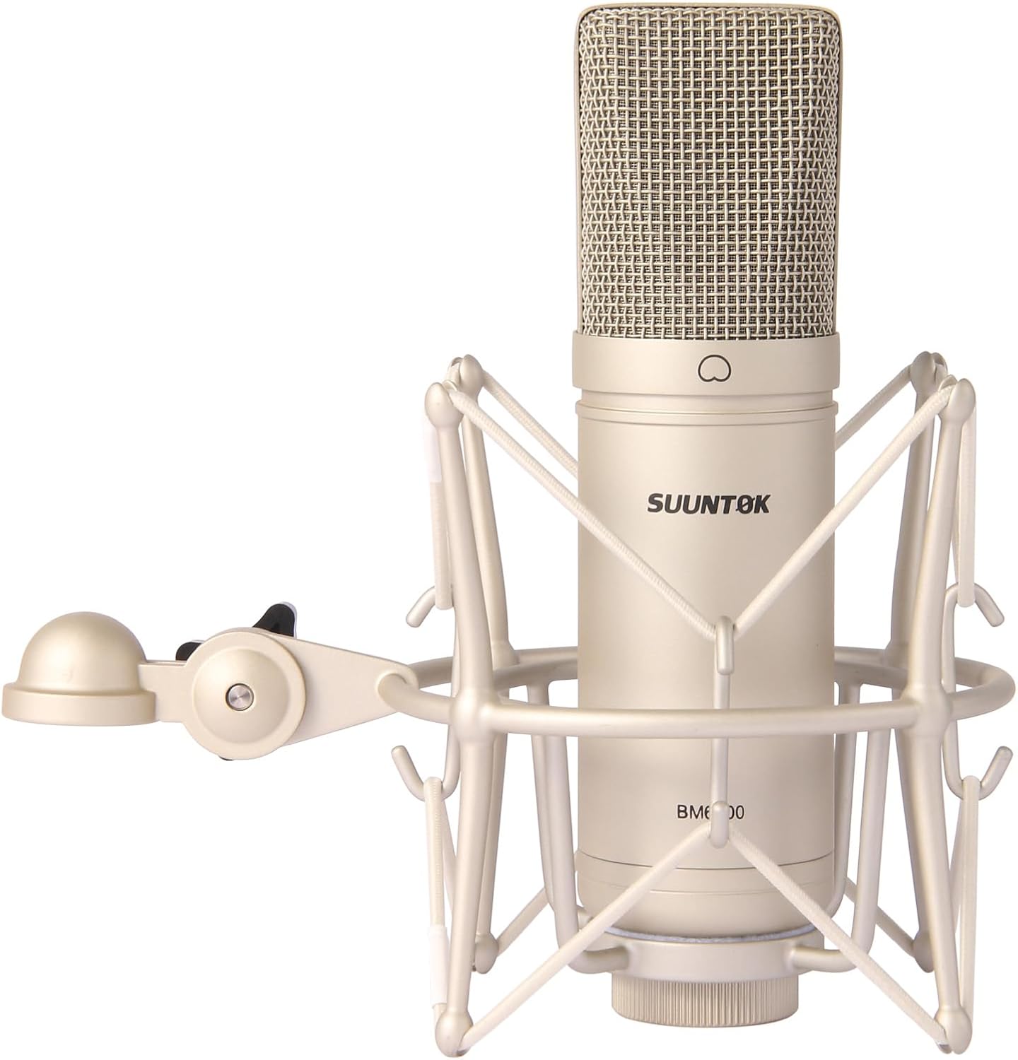 Condenser Microphone XLR, Large Diaphgram Professional Recording Cardioid Microphone Kit w/Shock Mount, for Studio, Live Streaming, Podcasting, Voice-Over, You-Tube (Black)