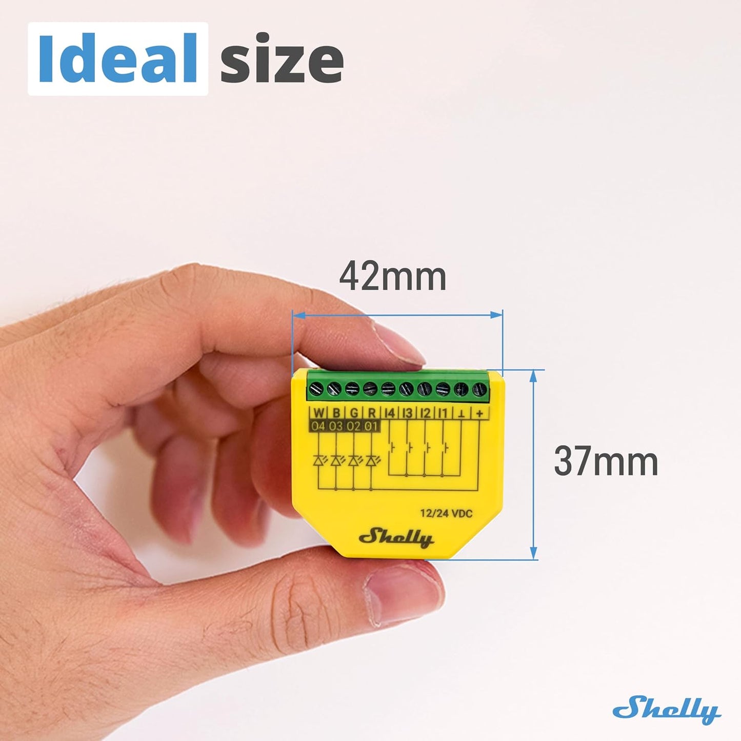 Shelly Plus RGBW PM | WiFi Smart Remote Control for RGBW Led Strips with Power Metering | Home Automation | Bluetooth Gateway | No Hub | Compatible with Alexa & Google Home | iOS Android App