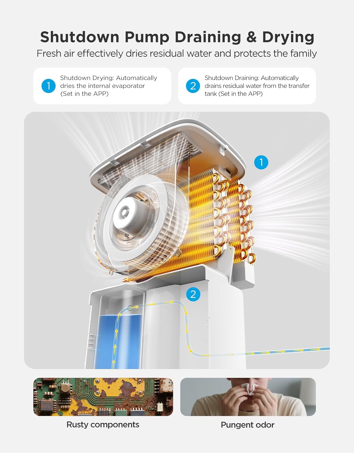 GoveeLife Dehumidifier with Pump for Home 4,500ft², 137 Pints, Drain Hose
