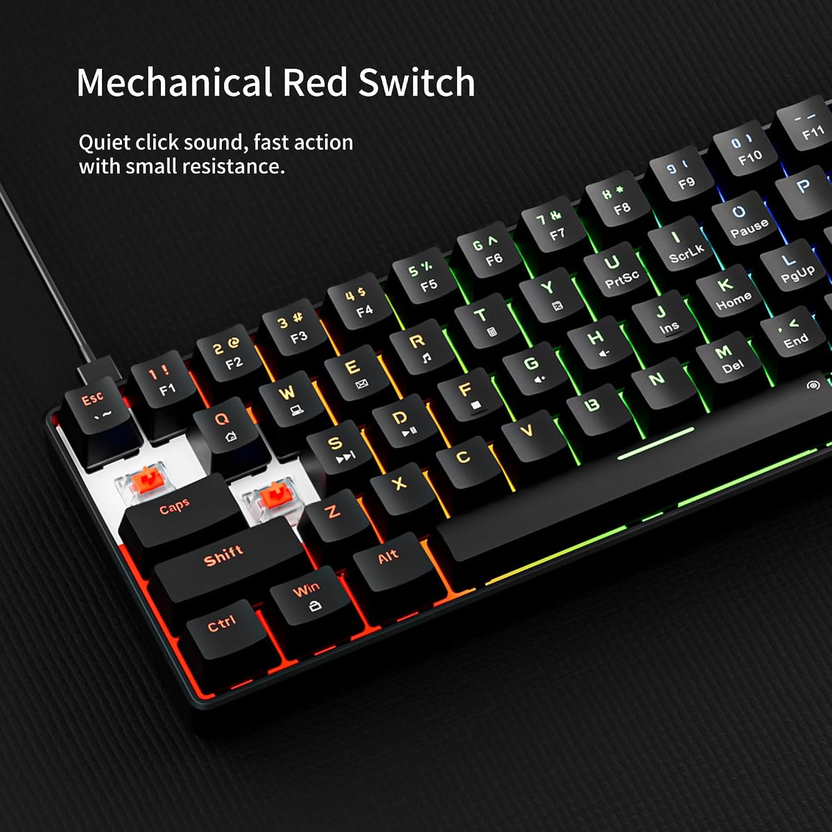 Newmen GM611 Mechanical Keyboard,LEDBacklit Wired Gaming Keyboard RedSwitch | Compact Portable,Mini 61 Keys,LED Backlit,60 Percent Mechanical Keyboard,Black Keycaps,Windows Laptop PC,Linear Red Switches