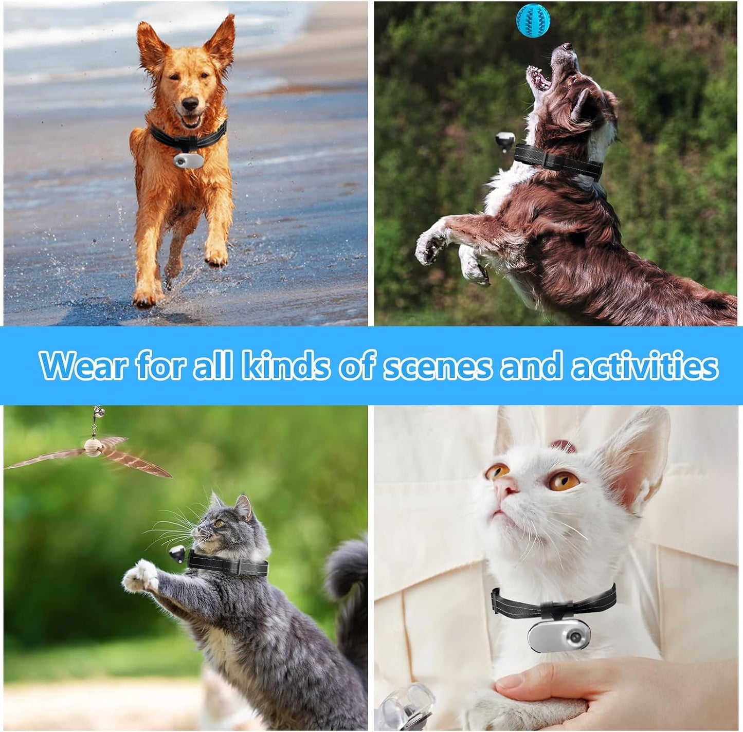 HD 1080P Cat POV Camera Collar with Video Record, Mini Small Sports Video Cameras, Body Cam Outdoor/Inoor No WiFi, Unique Pet Supplies Gift for pet Owners, Dog Moms, cat dads, Ideal Gift