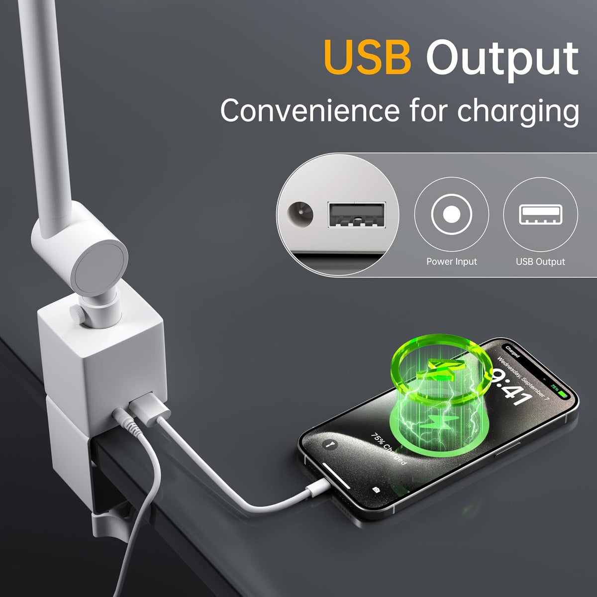 deeloop Dual Arm Desk Lamp with Clamp, CRI95+ Asymmetric LED Light wiht USB