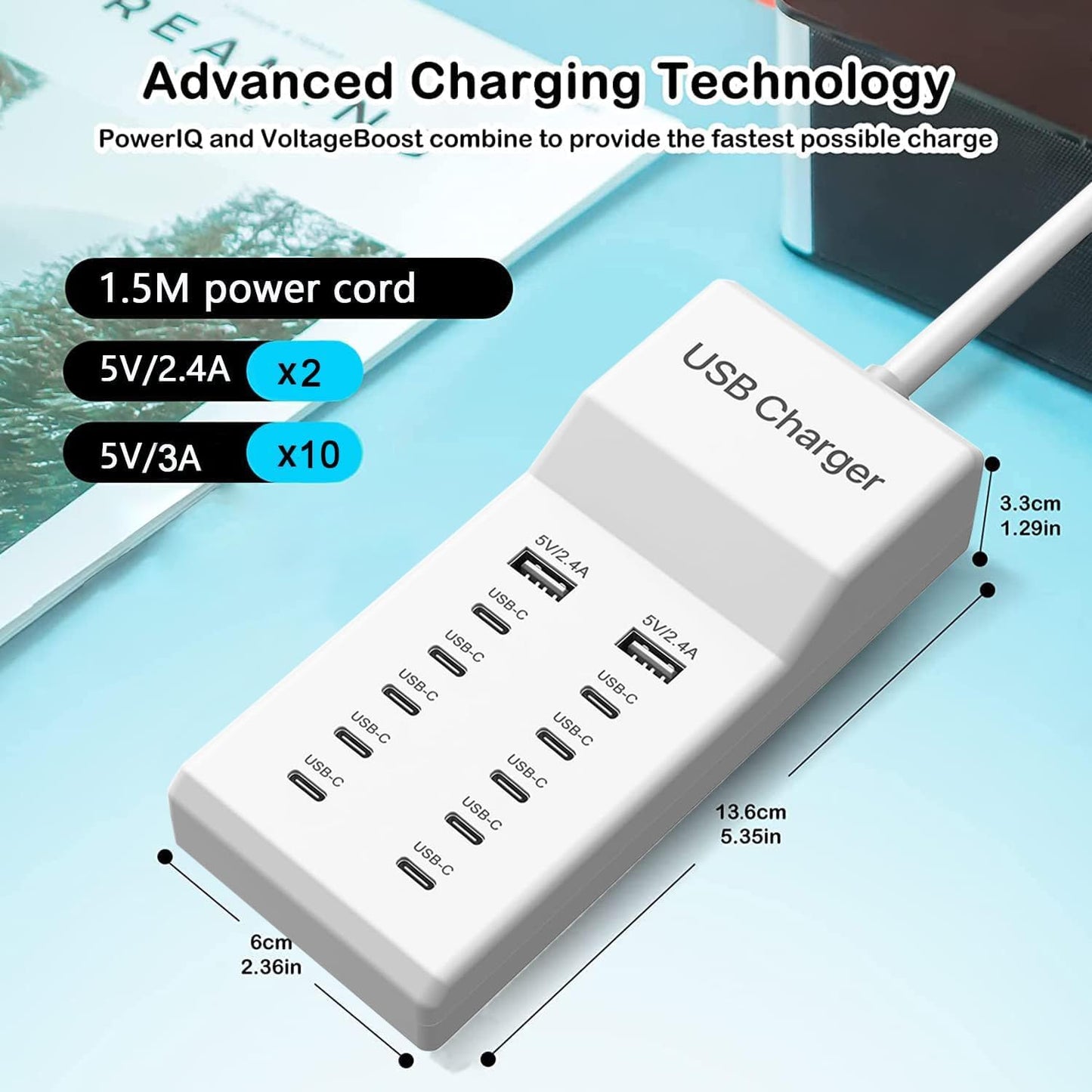 USB C Charger, 12 Ports USB Charging Station, 60W MultiPort Charger[10 USBC+2 USBA], Compatible with iPhone/iPad/Samsung/Google Pixel/Watch/Headphones