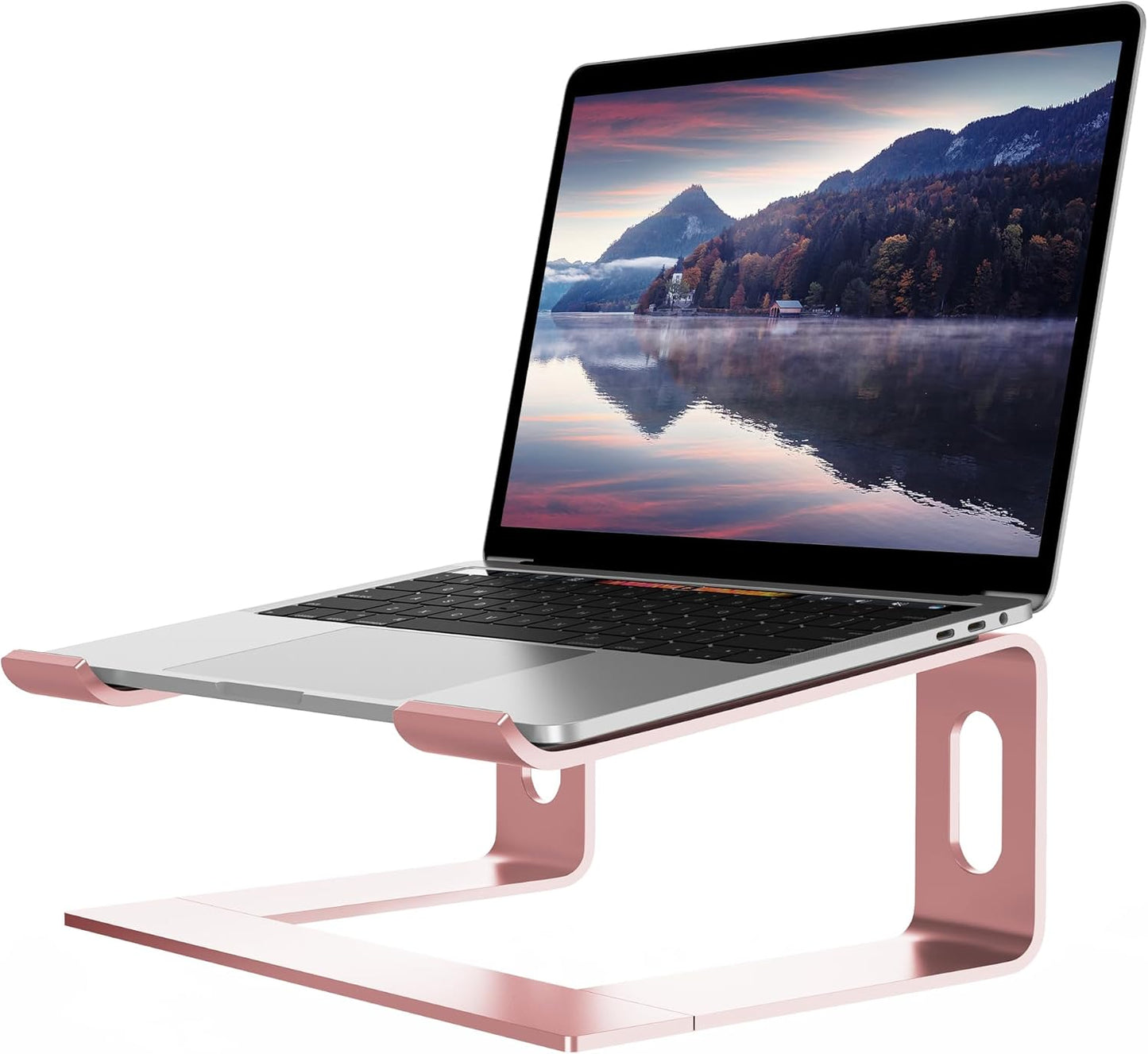 ALASHI Laptop Stand for Desk, Aluminum Computer Riser, Ergonomic Notebook Holder, Detachable Metal Laptops Elevator, PC Cooling Mount Support 10 to 15.6 Inches Notebook, Black