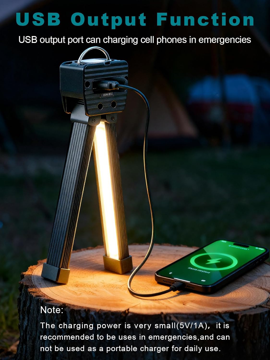 Gym Lamp, Portable Gym Lighting for Posing, Magnetic Work Light Rechargeable, 180°Rotate Foldable Camping Lamps with Hang Hook, Hiking Handheld LED Flashlight - Black