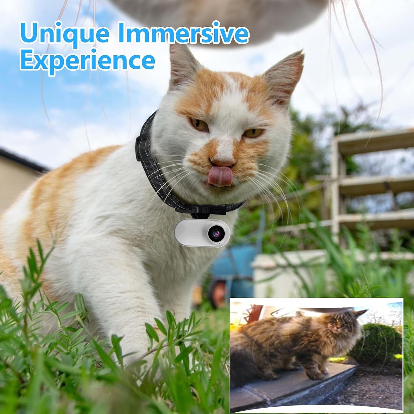 HD 1080P Cat POV Camera Collar with Video Record, Mini Small Sports Video Cameras, Body Cam Outdoor/Inoor No WiFi, Unique Pet Supplies Gift for pet Owners, Dog Moms, cat dads, Ideal Gift