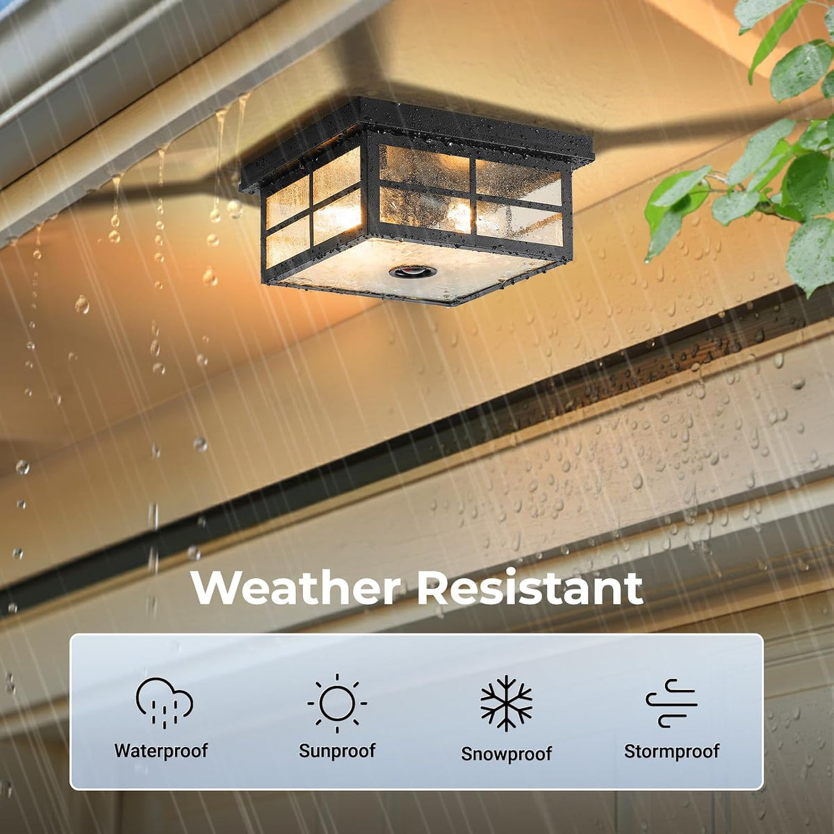 VIANIS Black Smart Motion Sensor Outdoor Ceiling Light with Remote Control