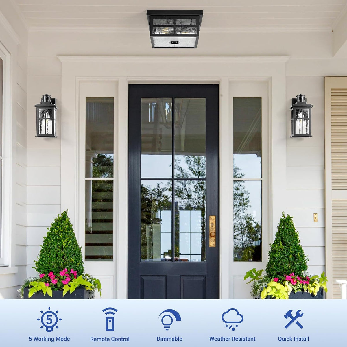 VIANIS Black Smart Motion Sensor Outdoor Ceiling Light with Remote Control
