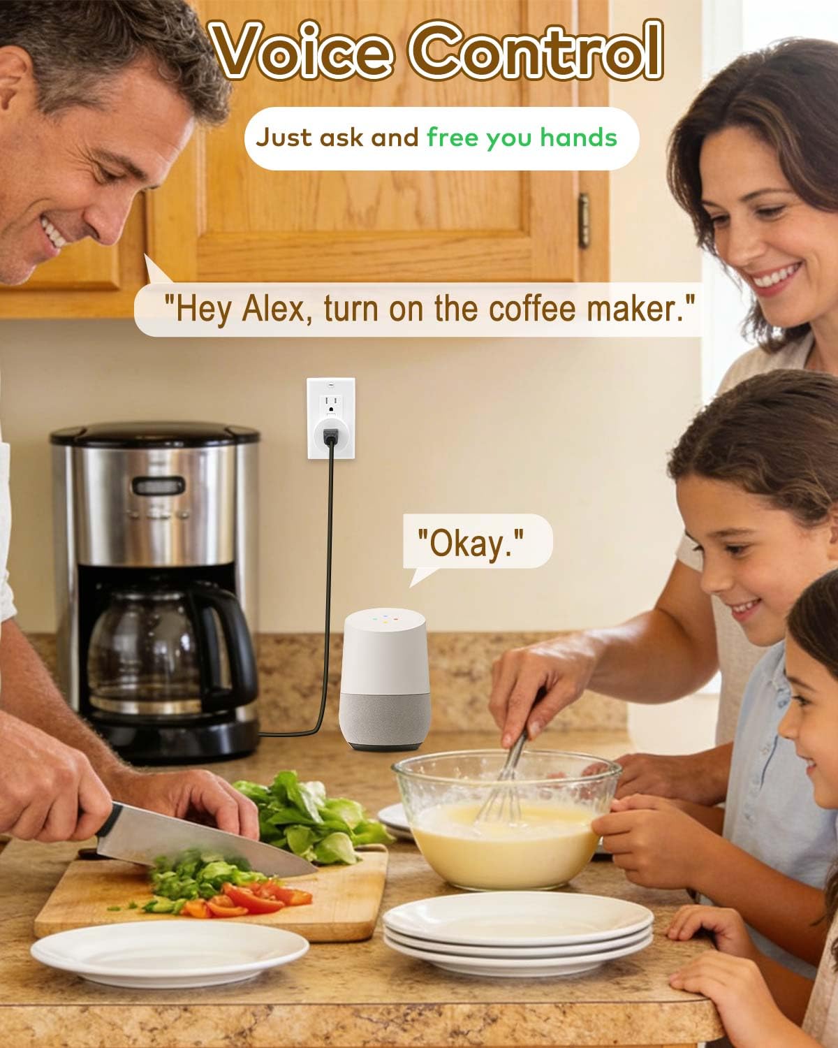 NineLeaf WiFi Smart Plug Remote,Wireless Remote Outlet with Decor Switch