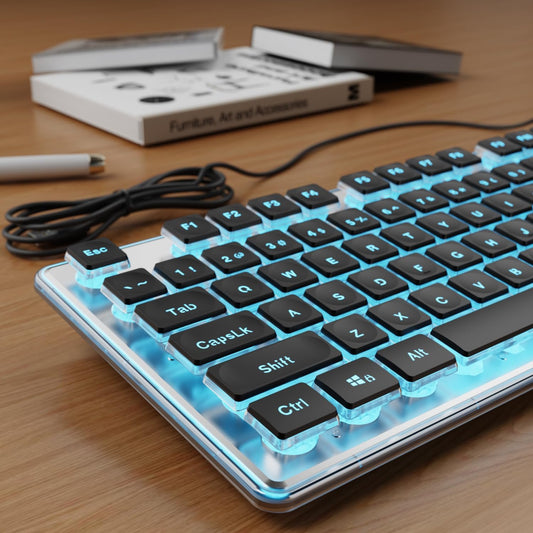 Wired Keyboard with Blue Backlight Pudding Keycaps, Full Size, Black