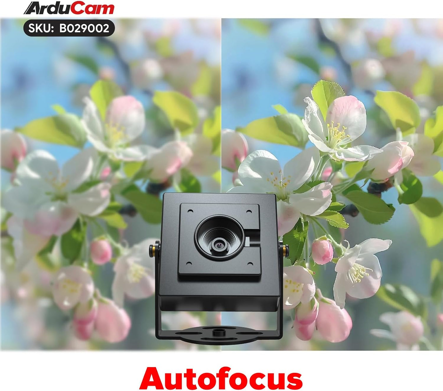 Arducam 4K 8MP Autofocus USB Camera Module with HDR, 1080P USB 2.0 Webcam, Lightburn Camera with Multiple preset AI Resolutions for Computer, Laptop, Raspberry Pi, Jetson Nano