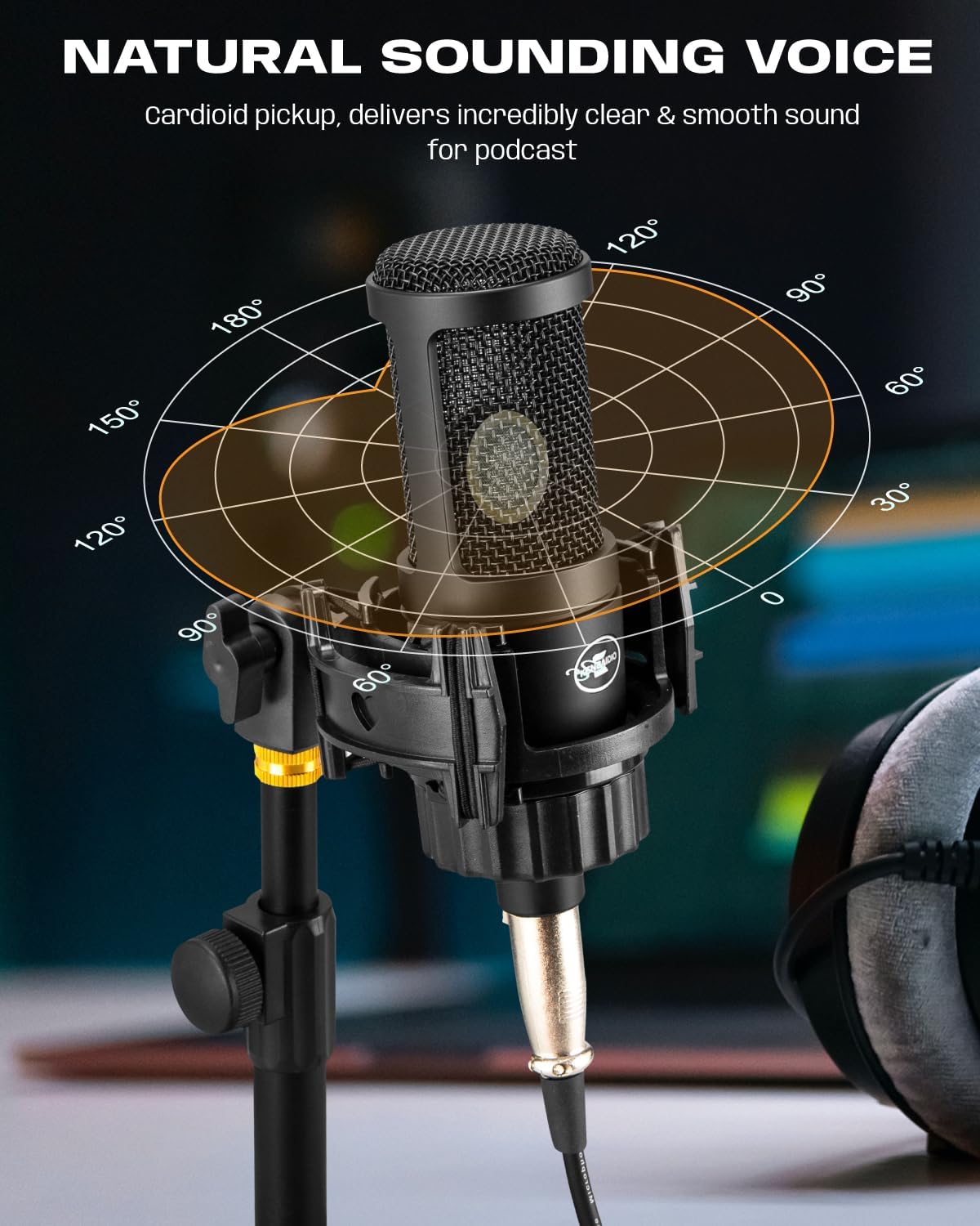 XLR Condenser Microphone with 26mm Large Diaphragm, Professional Cardioid Recording Studio Mic Kit with Metal Desktop Stand, Pop Filter for Streaming, Podcasting, Gaming, Voice-Over, Vocal, Youtube