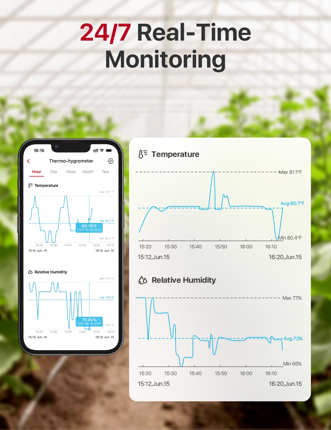 X-Sense Indoor Wi-Fi Thermometer Hygrometer, Base Station Required | Smart Temperature Sensor for House, Bedroom, Wine Cellar