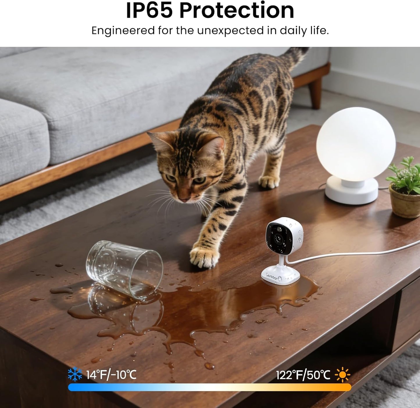 AOQEE 2K Cameras for Home Security, Indoor/Outdoor, Full Color, C1 2Pack | 2.4G Wired Outdoor/Indoor Camera for Dog/Cat/Pet/Baby, Color Night Vision, Home Security with White Light, 24/7 TF Recording