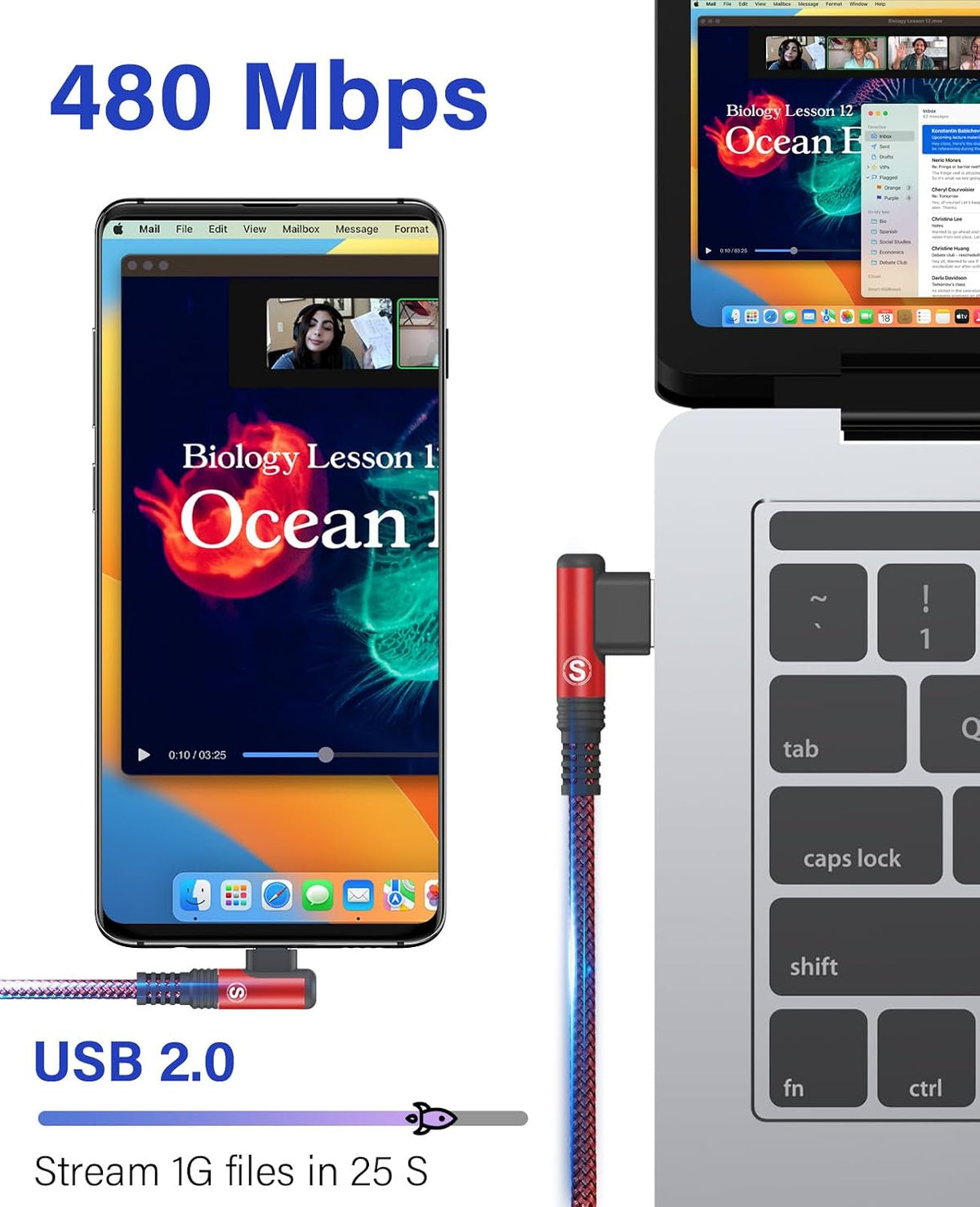 USB to USB C Cable 3.1A Fast Charge Right Angle CarPlay 6.6ft 2-Pack Red
