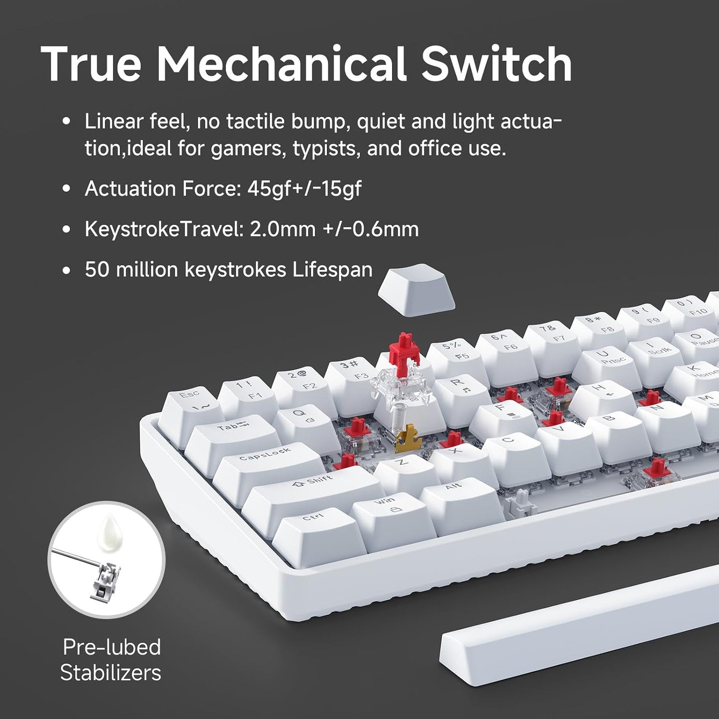 TMKB 60% Mechanical Gaming Keyboard, Red Linear Switch, Wired, White | LED Backlight, Anti-Ghosting, Detachable USB-C, Double-Shot Keycaps, 61 Keys