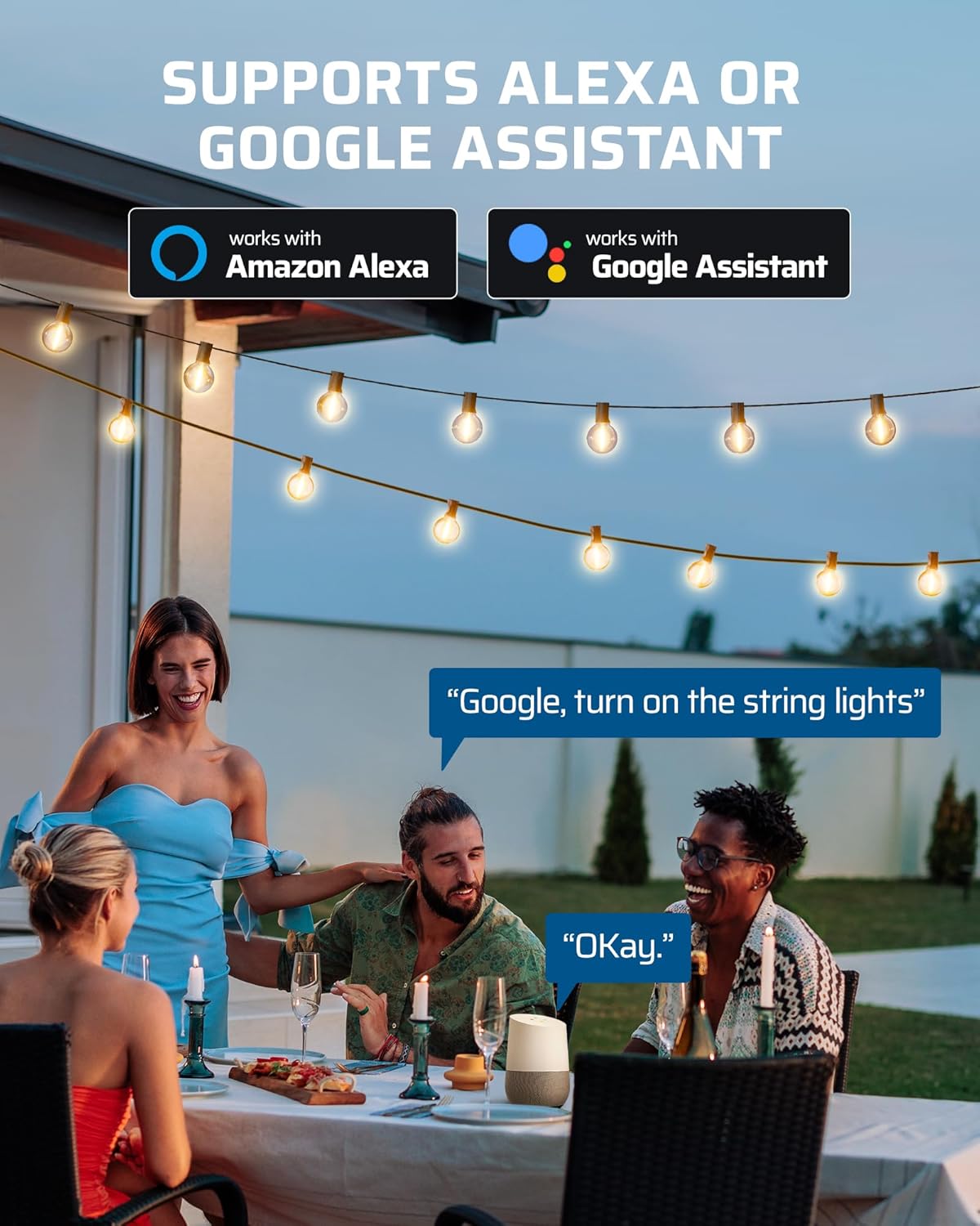 DEWENWILS Smart Dimmer Plug with Remote for Patio Lights, 2.4GHz Only | Remote/App/Voice Control, 2 Grounded Outlets, 100FT Range, Stepless Dimming, Support 200W Dimmable LED/400W Tungsten Bulbs
