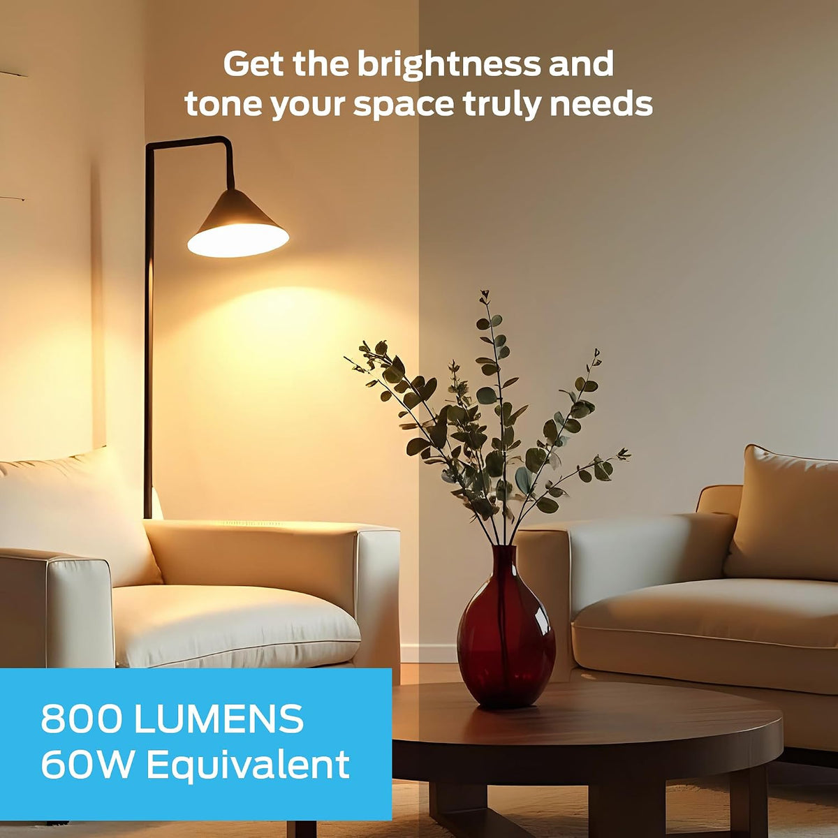 Monster Smart LED Light Bulbs WiFi Color Changing Bulbs, Dimmable Multicolor & Tunable White, Compatible with Alexa & Google Home, A19, 800 Lumens