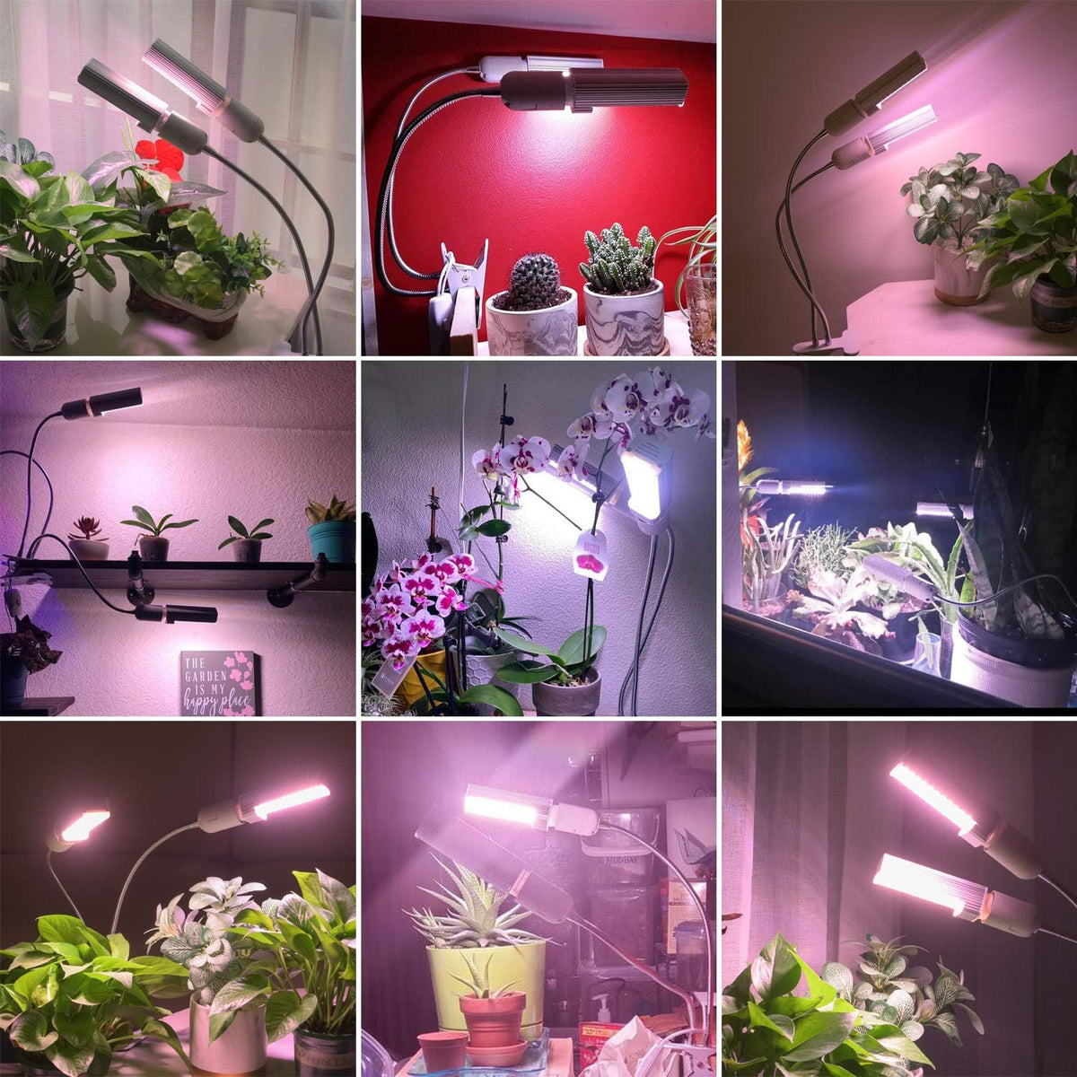 Smart LED Grow Light Bulbs for Gooseneck Clamp Light - Dimmable, Sun Mode Dimming, Auto On/Off Timer, Remote Control - Full Spectrum for Indoor Plant Growth - Mimics Real Sunshine