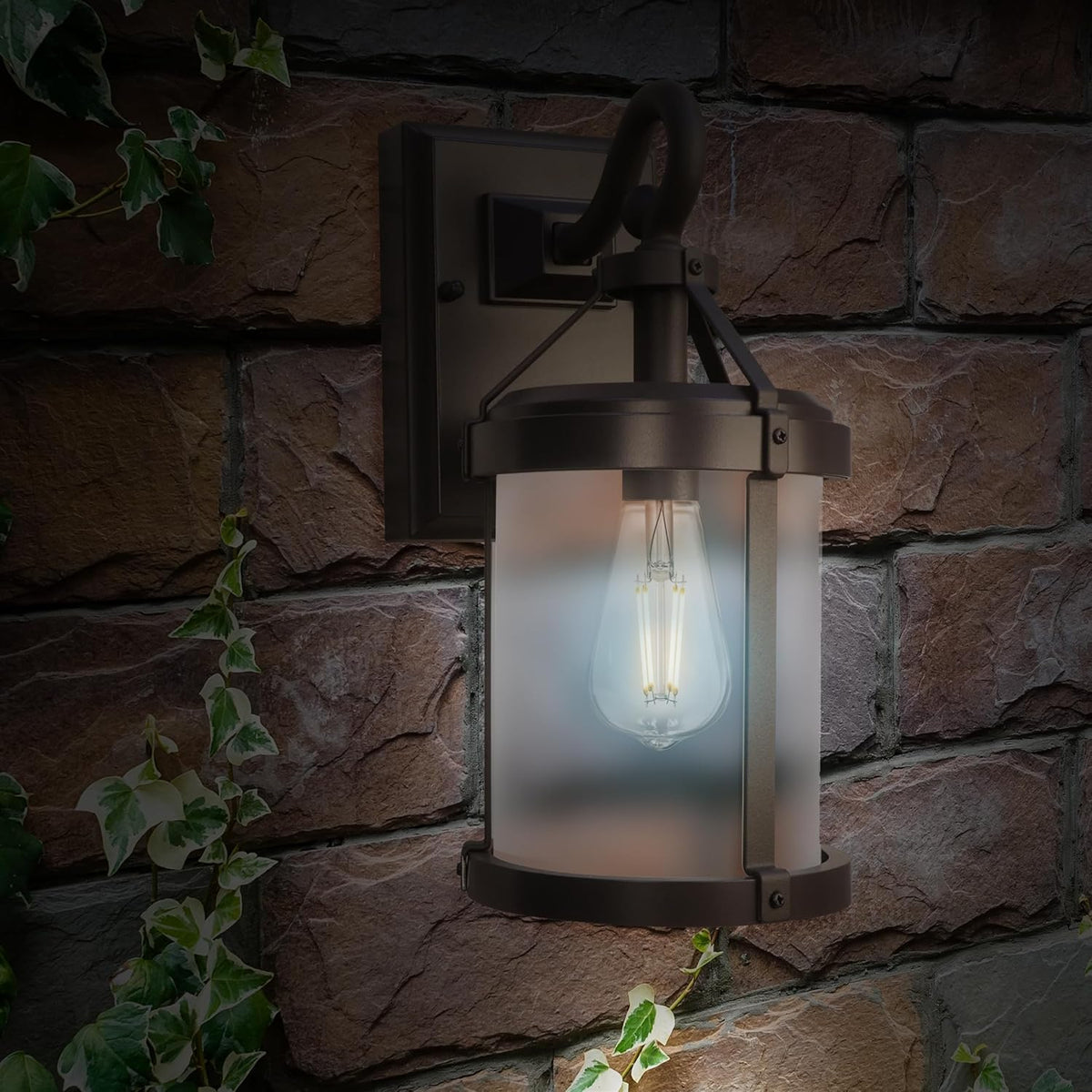 Feit Electric ST19 Vintage Edison LED Light Bulb, 60W Equivalent, Dimmable, 5000K Daylight, 800 Lumens, E26 Base, Retro Filament Light Bulbs, 15,000-Hour Lifetime, ST1960/CL/950CA/2/4, 8 Pack