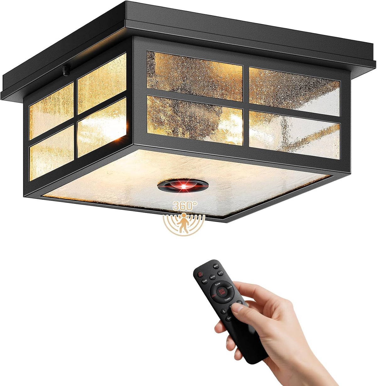 VIANIS Black Smart Motion Sensor Outdoor Ceiling Light with Remote Control