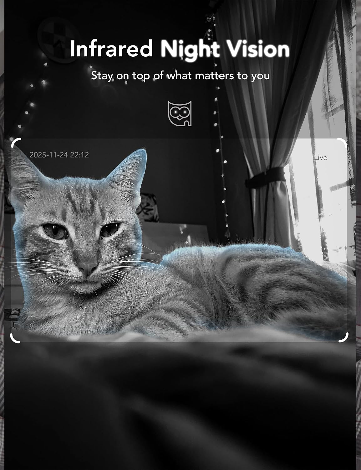 GNCC 2K Indoor Camera for Home Security with Phone App 5G/2.4G WiFi Pet Cam | Mini Pet Cam w/Human/Motion/Sound Detection, Compatible with Alexa, Cloud Storage Optional, Fixed View, Plug-in, 2 Pack